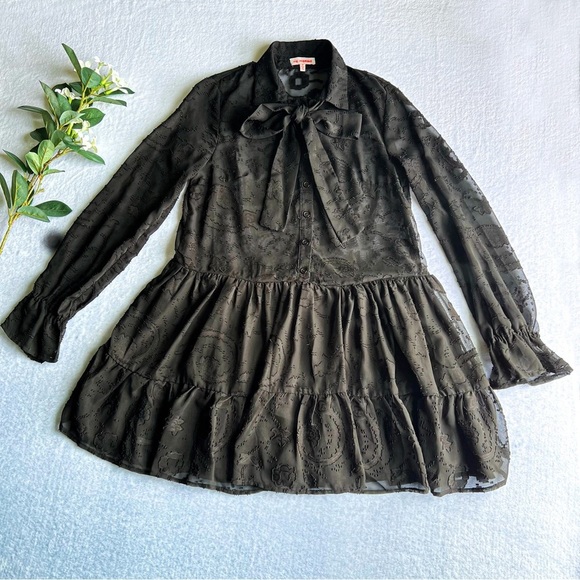 Women’s Black Sheer Embroidered Mini Dress Ruffle Hem Long Sleeve Button Up - Picture 1 of 15